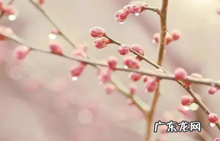 2021立春后多久天气变暖和 2022年立春以后温度什么时候会上升