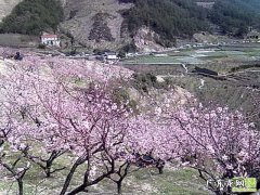 固始桃花坞,还有这些地方可以玩耍,你最喜欢哪个？