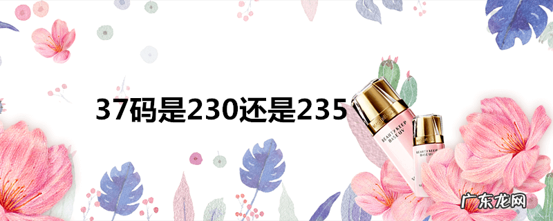 37码是230还是235
