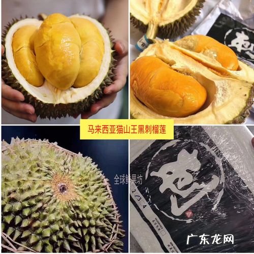 黑刺榴莲和猫山王区别
