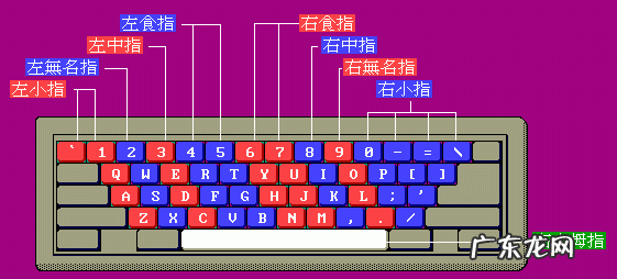 新手怎样一步一步练盲打?学会这4点,你也可以是打字高手!