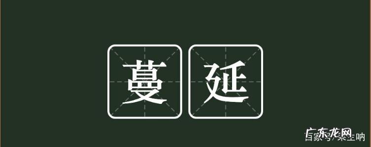 蔓延和曼延有什么区别