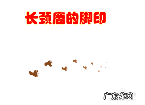 长颈鹿的脚印什么形状