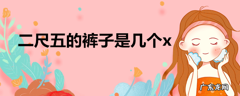 二尺五的裤子是几个x