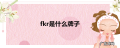 fkr是什么牌子