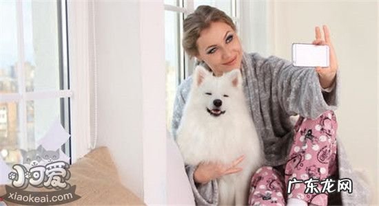 什么人不适合养狗狗 什么人不适合养狗