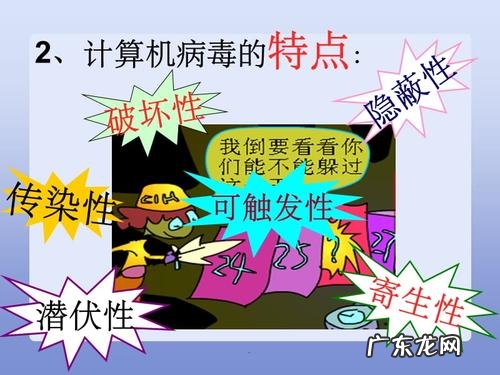 电脑病毒的特点有哪些