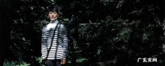 亲爱的热爱的demo是谁