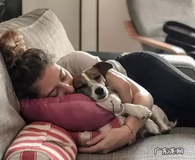 狗狗睡觉手脚抖动 狗狗知道主人睡觉,会故意轻手轻脚活动吗
