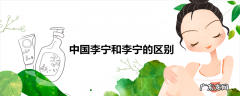 中国李宁和李宁的区别