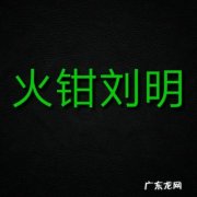 火钳刘明什么时候的梗