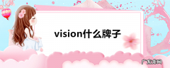 vision什么牌子