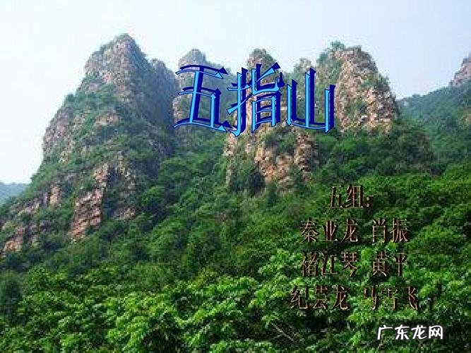 五指山在哪里:五指山的猴子们太调皮了,把唐僧抓来关起来!