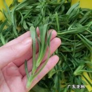 面条棵野菜如何吃