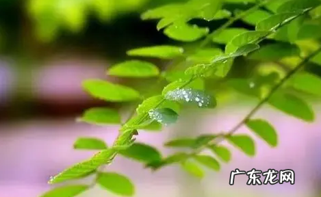 2021年夏天什么时候入伏 2022年入伏后天气炎热吗