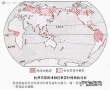 我国亚寒带针叶林分布地区有哪些,主要分布于哪些省份？
