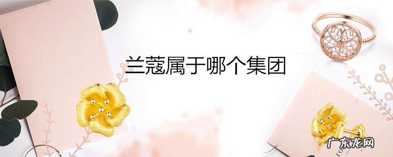 兰蔻属于哪个集团