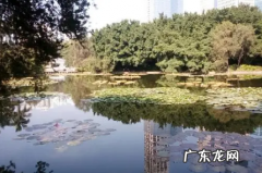 深圳今年是暖冬吗2020 深圳2021-2022冬天什么时候回暖