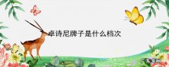卓诗尼牌子是什么档次
