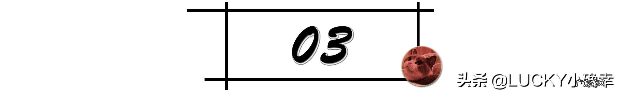 两个多月带回来的小猫，不喜欢被摸被抱，晚上睡觉也不要一起睡，喜欢抱着手咬人，用脚踹人，怎么才能养熟