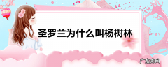 圣罗兰为什么叫杨树林
