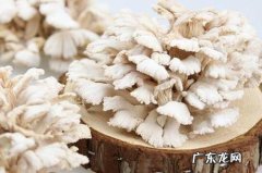 白参菌的功效与作用
