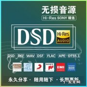 dsd音乐和无损的区别,dsd无损音乐是什么？