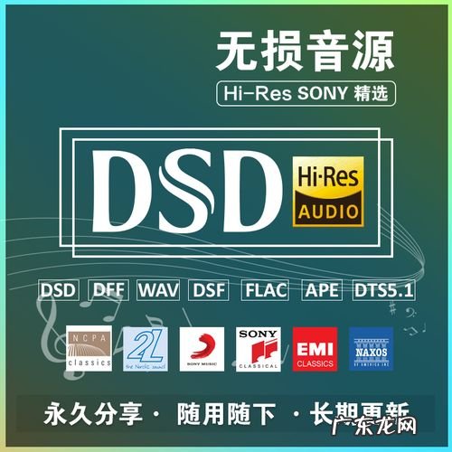 dsd音乐和无损的区别,dsd无损音乐是什么?