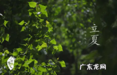 什么时候立夏2021 2022年立夏是什么时候