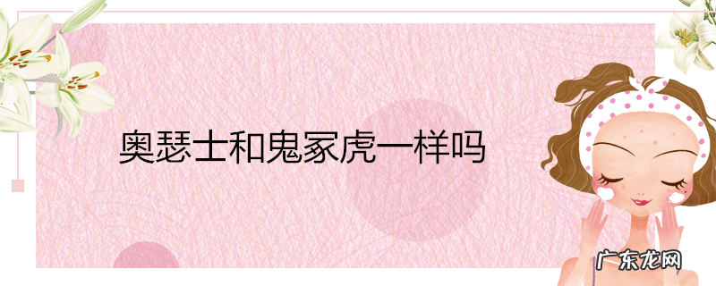 奥瑟士和鬼冢虎一样吗