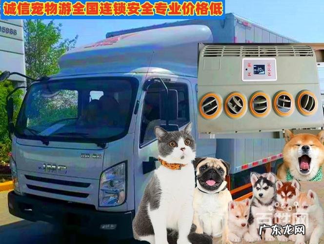 宠物托运平台一般多少钱