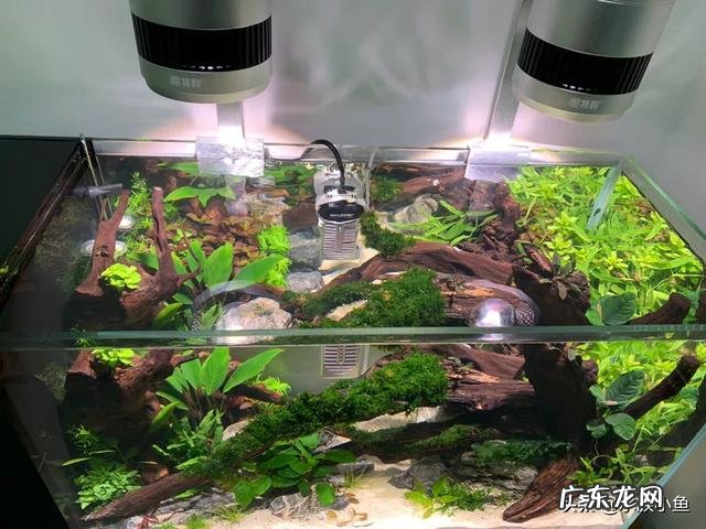 自己做一个80*40*40的鱼缸需要多少钱 买了一个80*35*50的鱼缸,需要买哪些装备