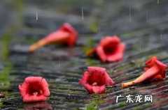 苏州冬天下雨多吗 2022苏州秋冬雨水多吗