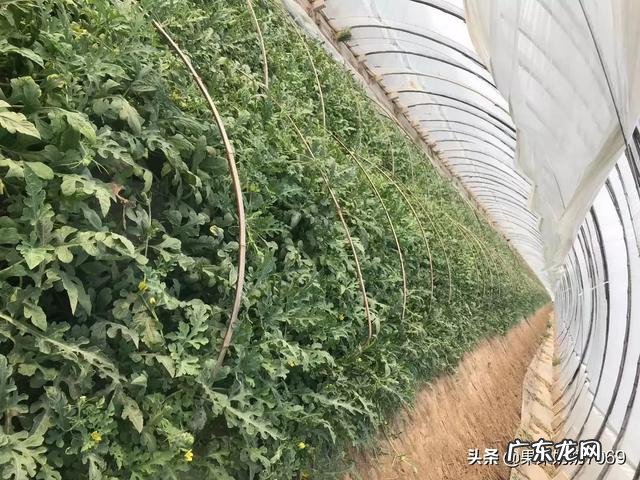 日常生活照怎么拍好看 可以分享一张你们拍的日常或是好看的照片吗