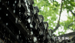 2020年广州暴雨 2022年广州二月份雨水多吗