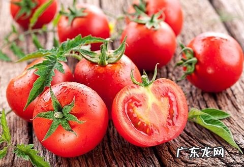 番茄怎么吃