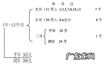 闰年全年有多少天你是怎么知道的