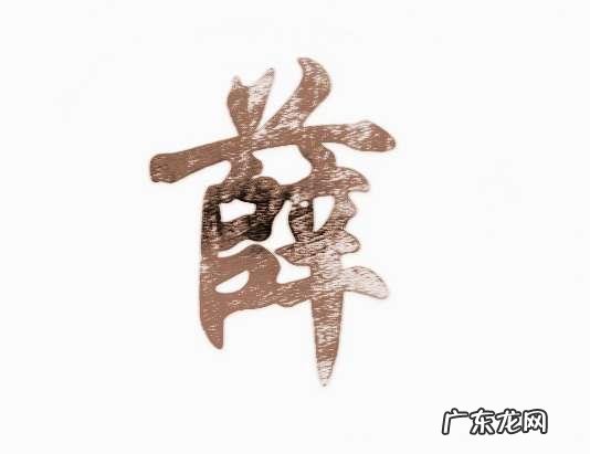 薛姓是怎么来的