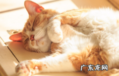冬天什么时候太阳光最强 冬天什么时候的太阳最好