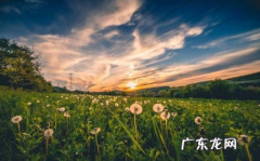 2020年上海最低温度是多少 2022年上海2月份的温度大概是多少