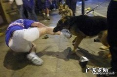 没拴绳的狗扑我女儿，被我一脚踢飞，狗主人向我索赔一万，怎么办