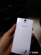 oppopepmoo是什么型号？oppopEPmoomp是什么意思？