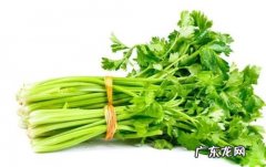 吃芹菜有什么作用