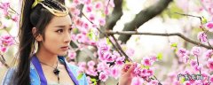 仙侠剑虹虹的结局