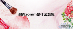 耐克zomm是什么意思