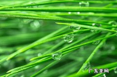 2023年梅雨季节是什么时候 2023上海入梅时间最新