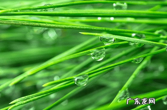 2023年梅雨季节是什么时候 2023上海入梅时间最新