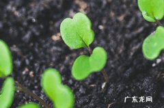 2023年什么时候入梅 梅雨季节如何养生