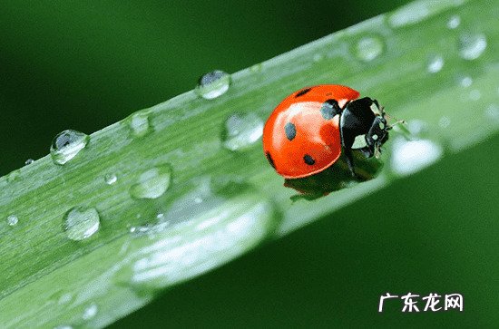 2023上海入梅和出梅时间 2023年上海市入梅与出梅的时间