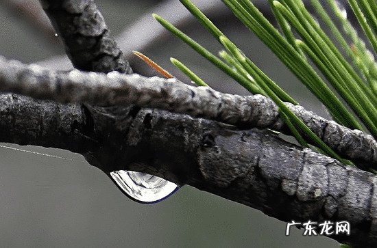 2023安徽梅雨季节是什么时间 2023安徽入梅出梅最新时间